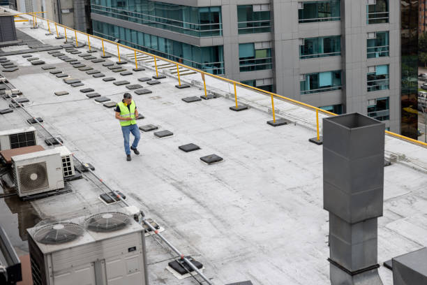 Best Metal Roofing Installation  in Lake Elsinore, CA